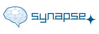 synapse